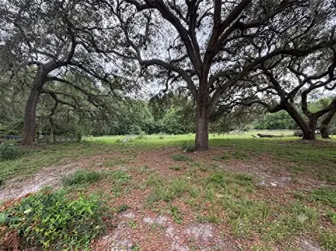 101 Allen Drive Palatka FL 32177