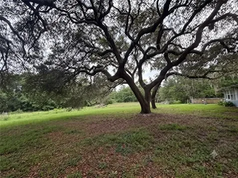 101 Allen Drive Palatka FL 32177