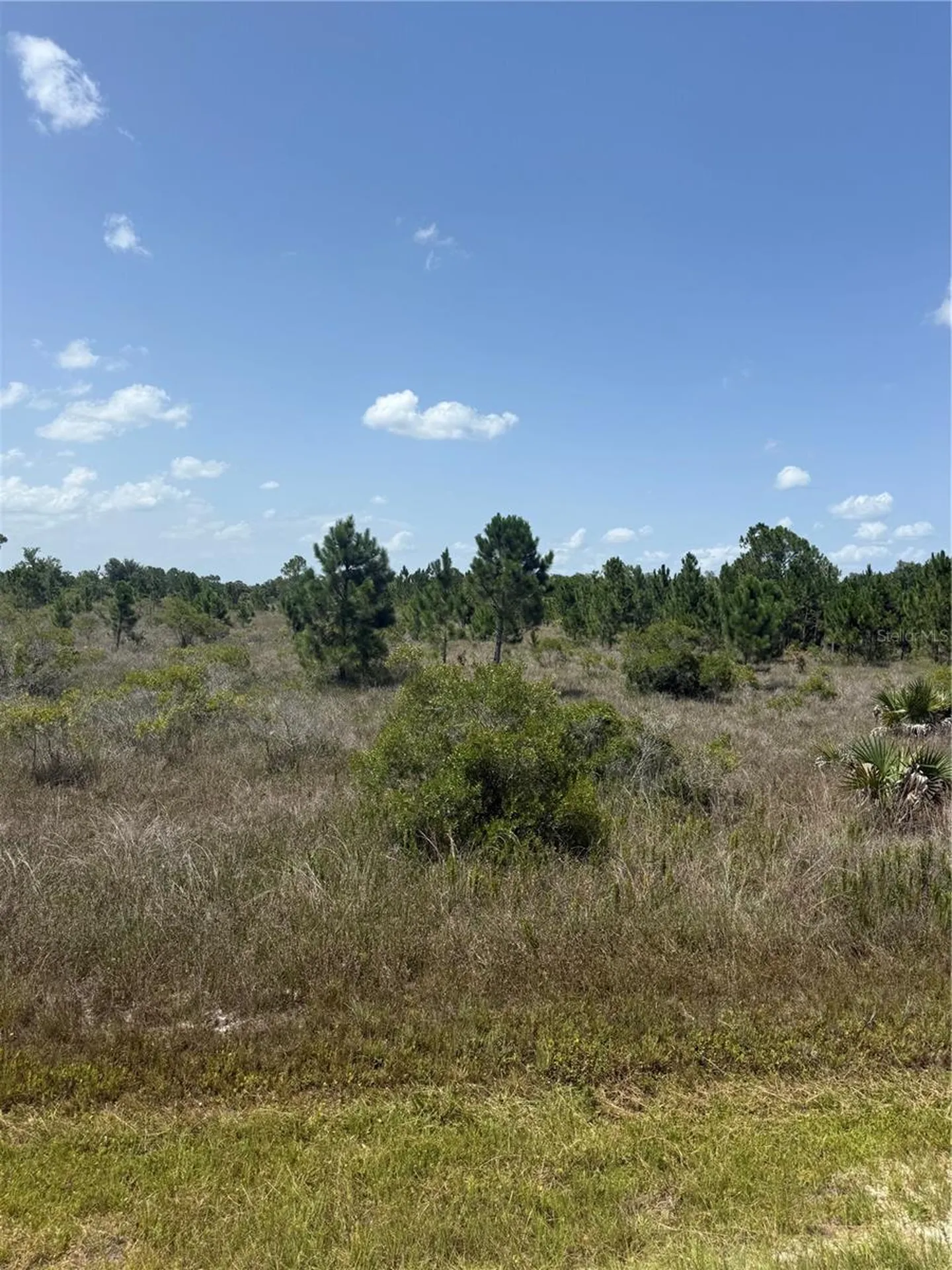 15463 NW 306th Street Okeechobee FL 34972