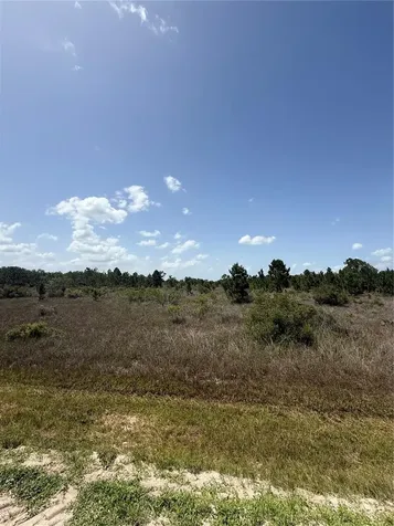 15463 NW 306th Street Okeechobee FL 34972