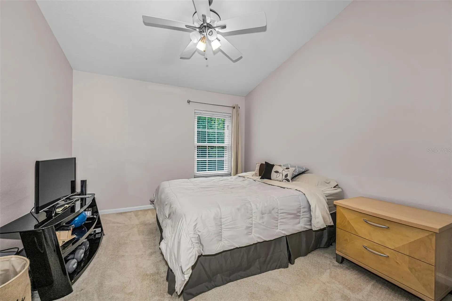 8414 Sandy Beach Street Tampa FL 33634