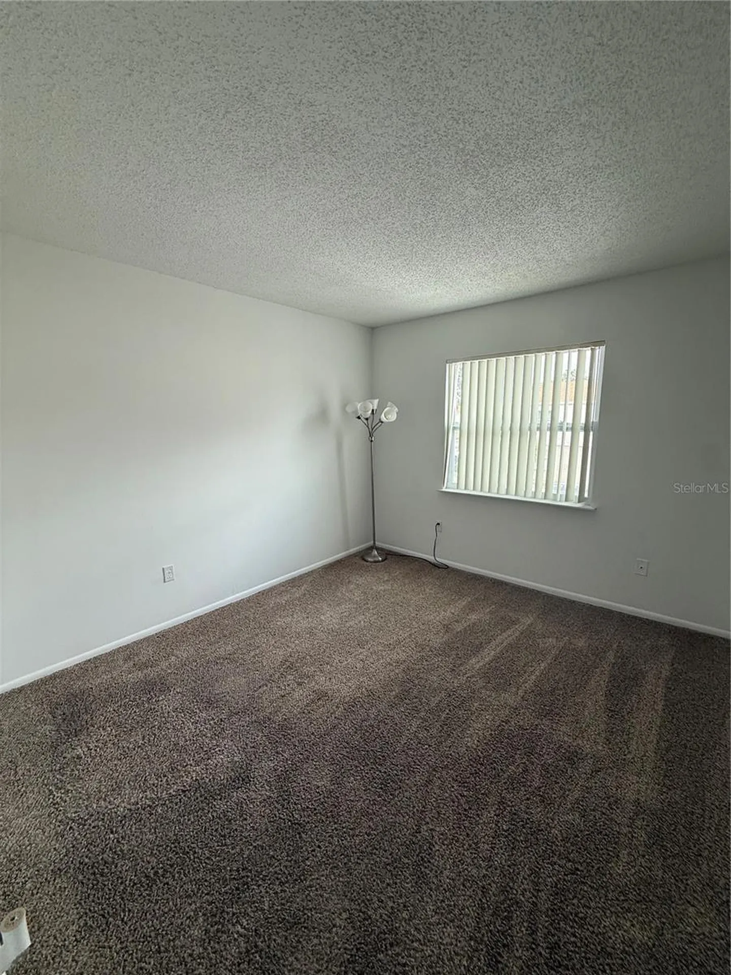 7210 N Manhattan Avenue Tampa FL 33614