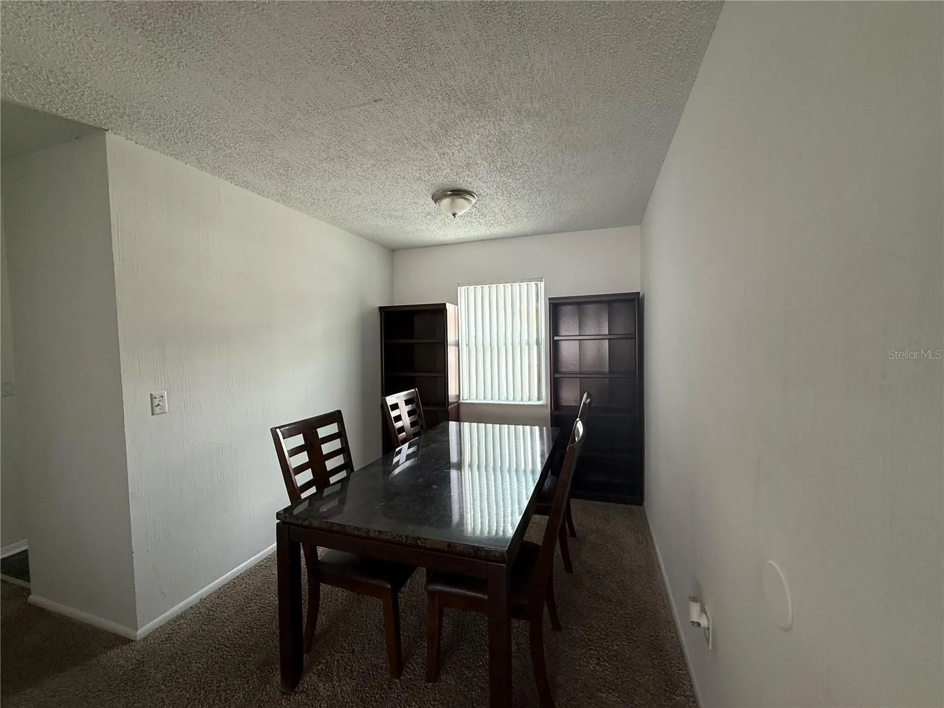7210 N Manhattan Avenue Tampa FL 33614