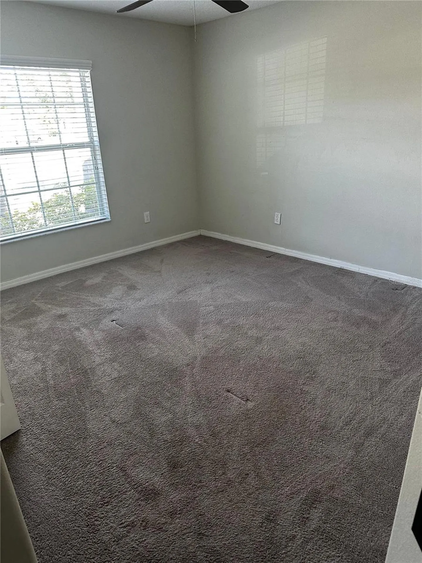 16513 Myrtle Sand Drive Wimauma FL 33598