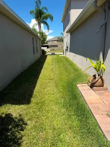 16513 Myrtle Sand Drive Wimauma FL 33598