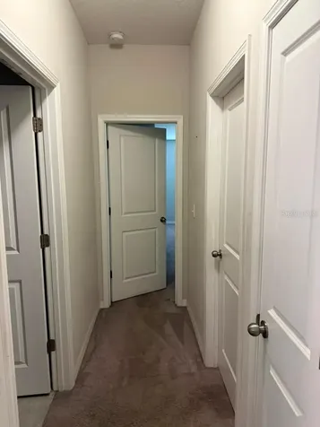 16513 Myrtle Sand Drive Wimauma FL 33598