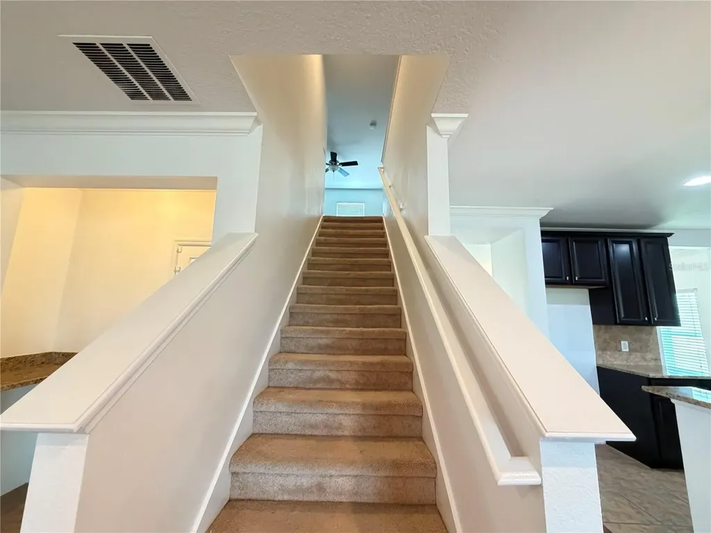 3437 Brant Street St Cloud FL 34772