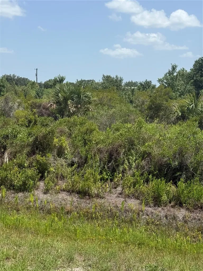 20862 NW 262nd Street Okeechobee FL 34972