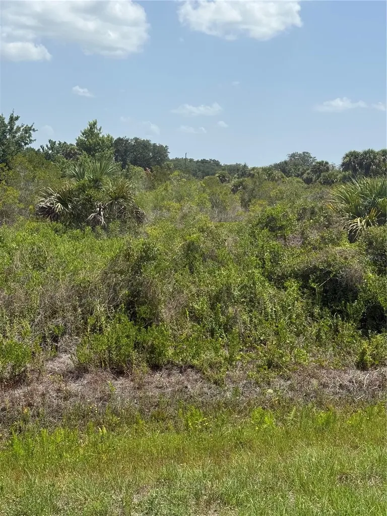 20862 NW 262nd Street Okeechobee FL 34972