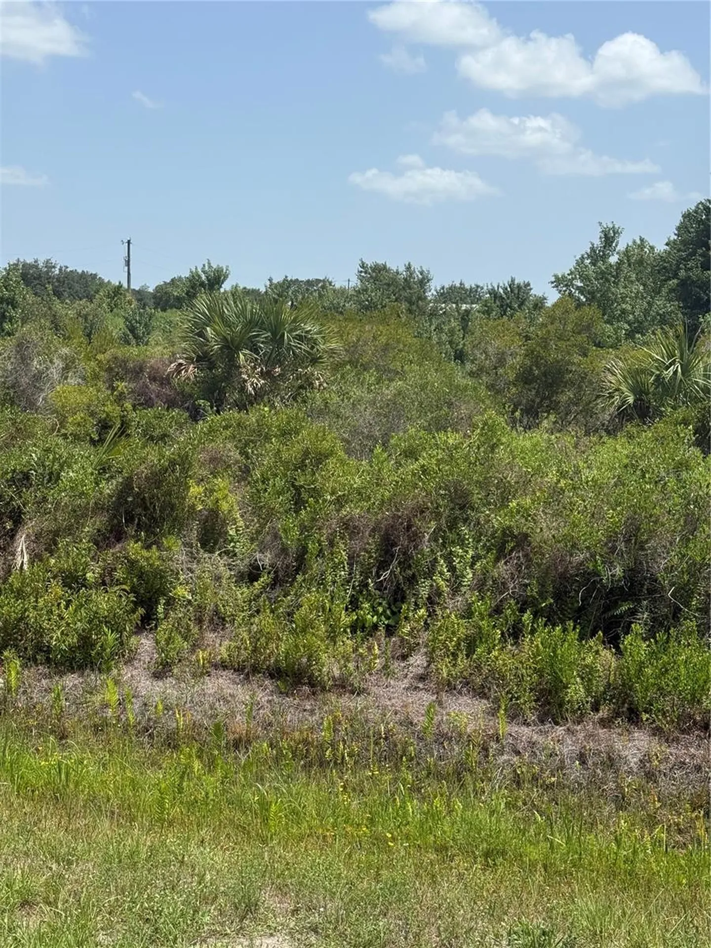 20862 NW 262nd Street Okeechobee FL 34972