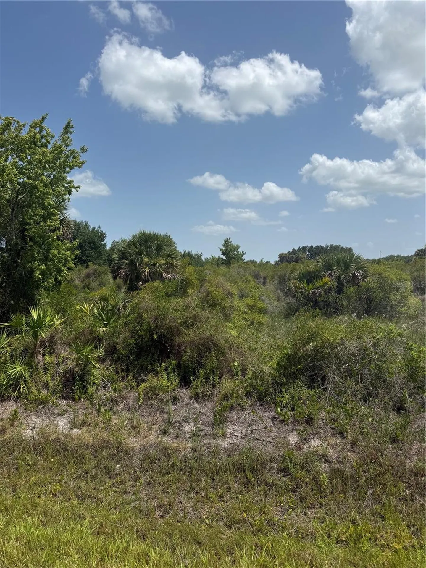 20862 NW 262nd Street Okeechobee FL 34972