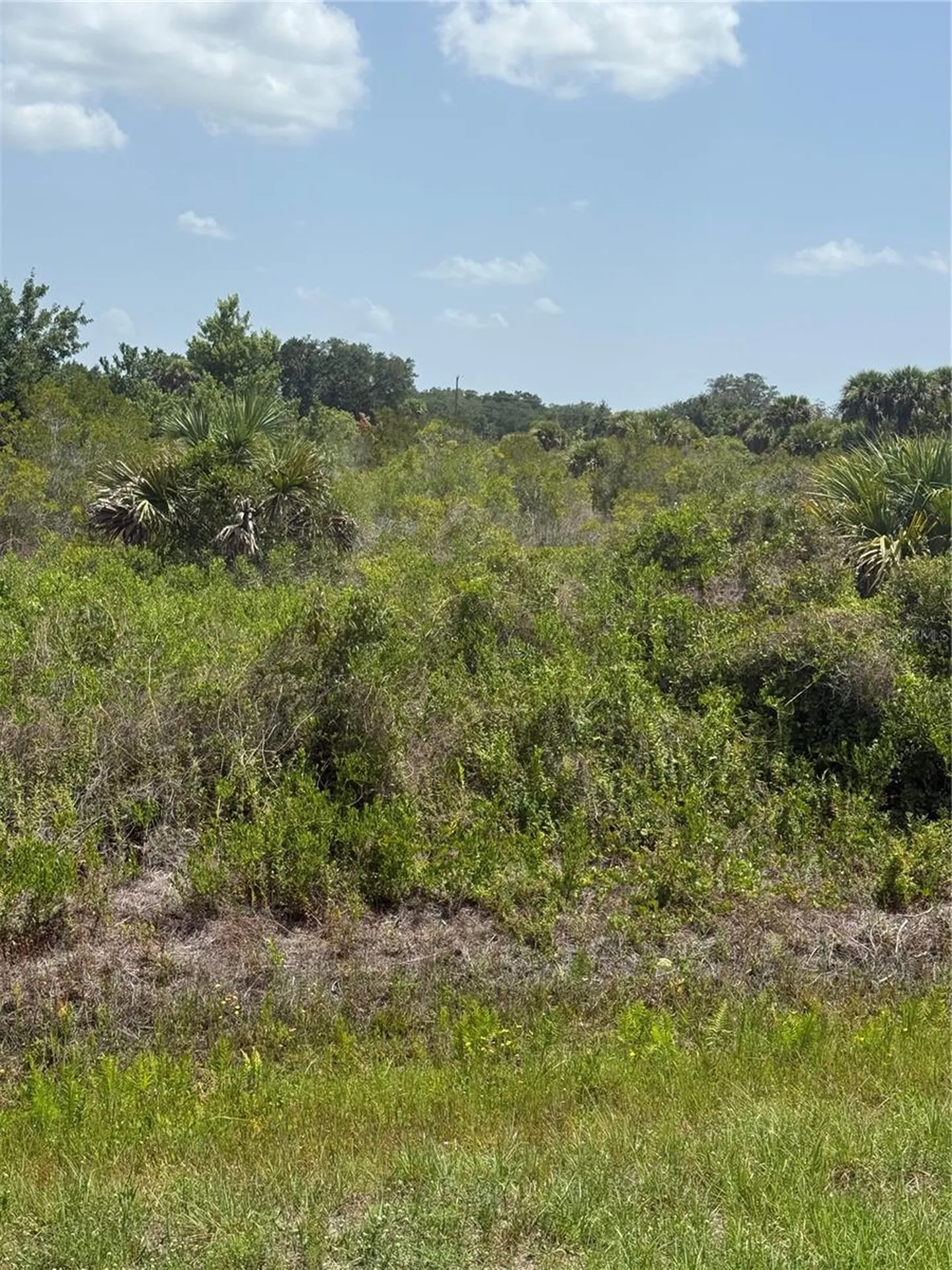 20862 NW 262nd Street Okeechobee FL 34972