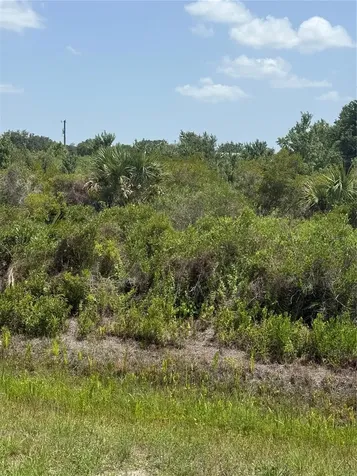 20862 NW 262nd Street Okeechobee FL 34972