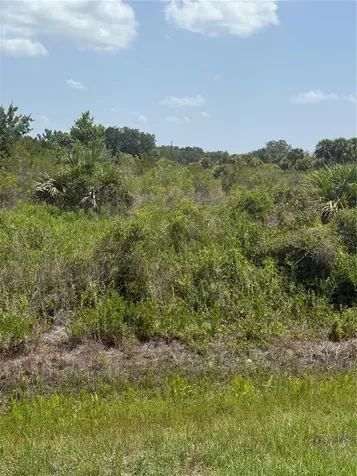 20862 NW 262nd Street Okeechobee FL 34972