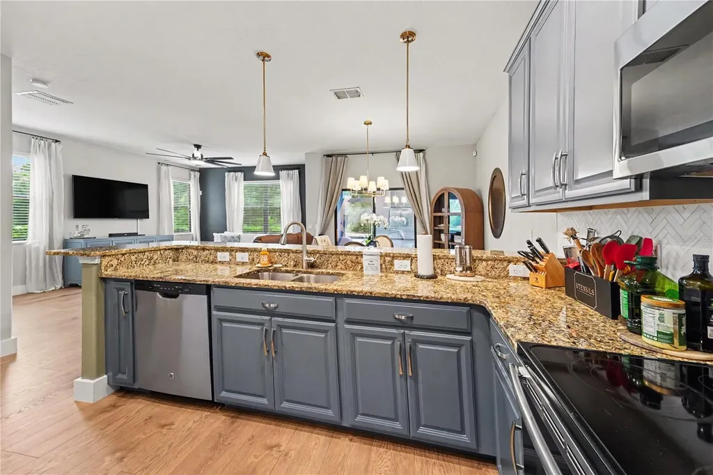 28425 Pleasant Bay Loop Wesley Chapel FL 33543