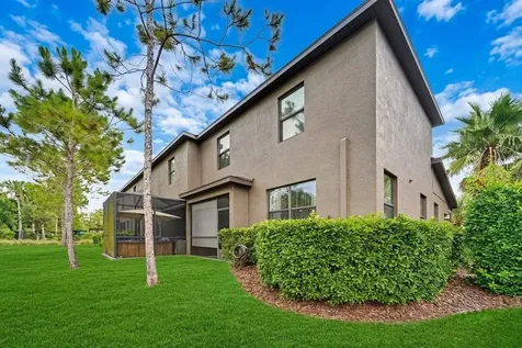 28425 Pleasant Bay Loop Wesley Chapel FL 33543