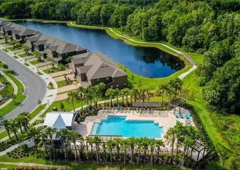 28425 Pleasant Bay Loop Wesley Chapel FL 33543