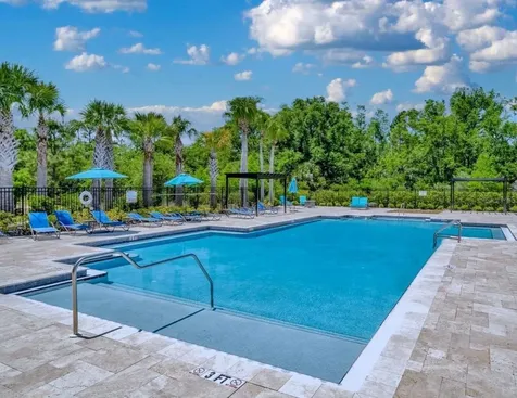 28425 Pleasant Bay Loop Wesley Chapel FL 33543