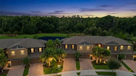 28425 Pleasant Bay Loop Wesley Chapel FL 33543