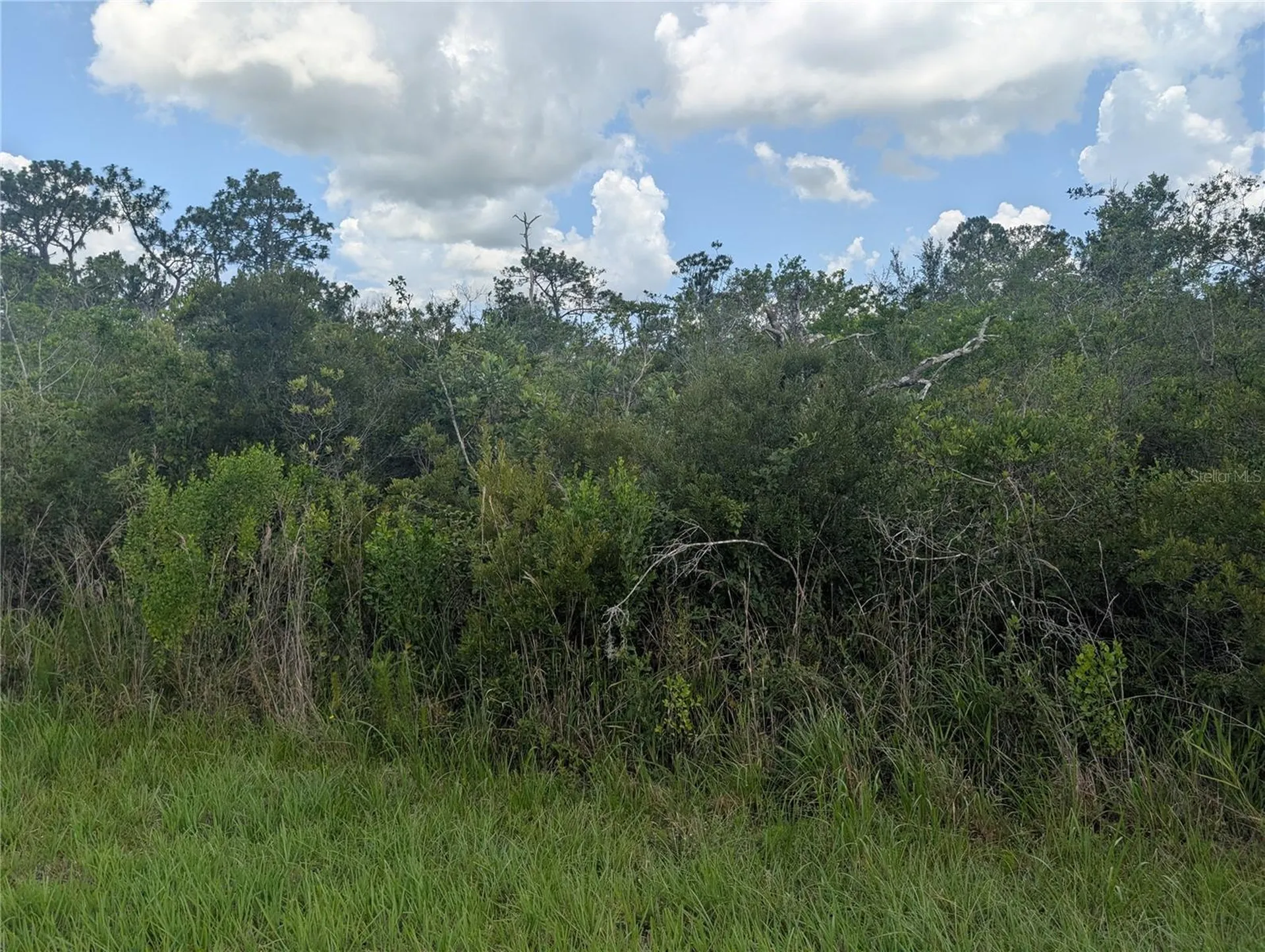 314 Camellia Drive Indian Lake Estates FL 33855