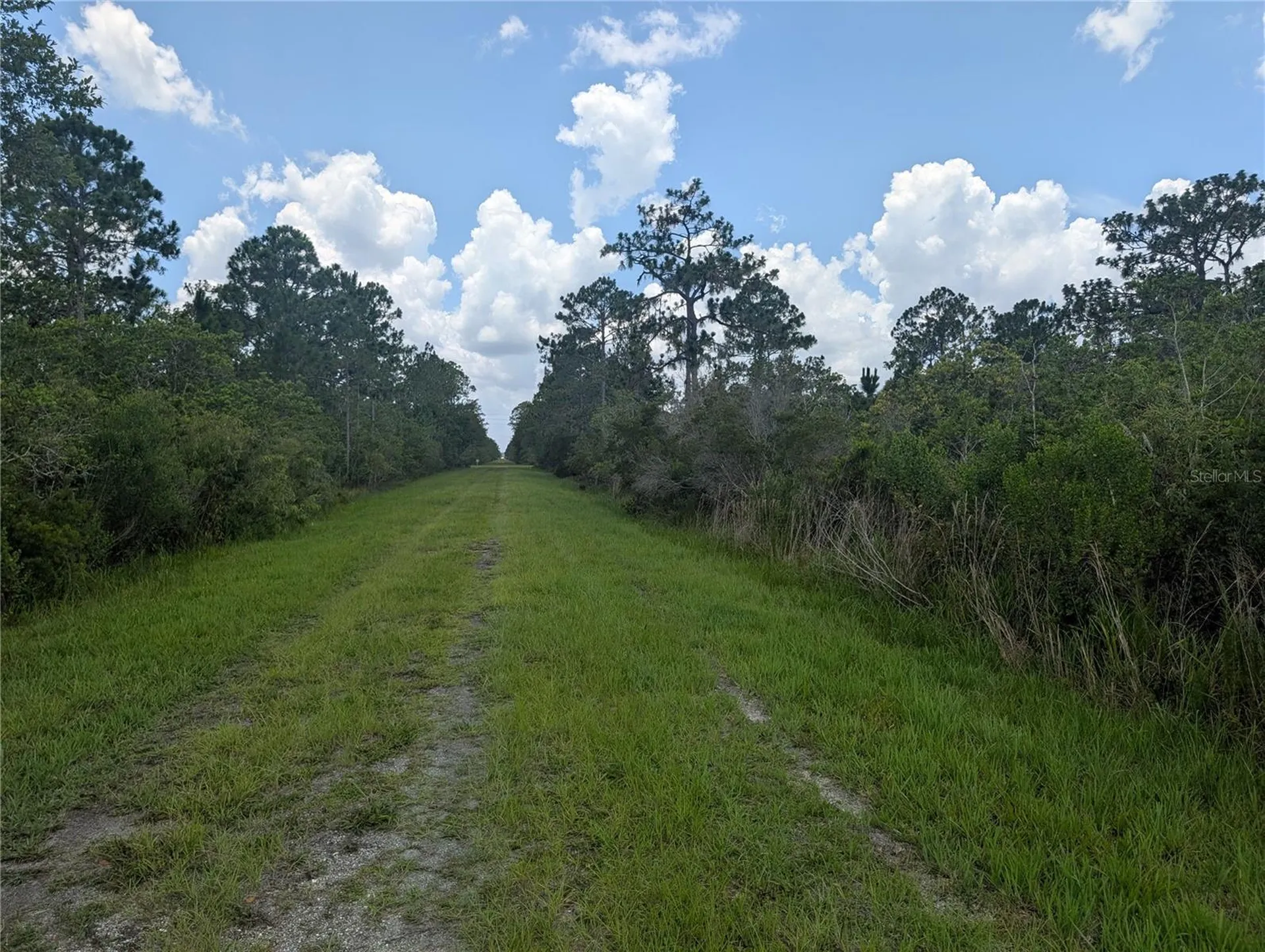 314 Camellia Drive Indian Lake Estates FL 33855