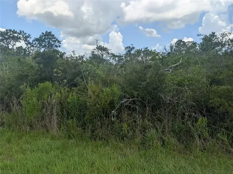 314 Camellia Drive Indian Lake Estates FL 33855