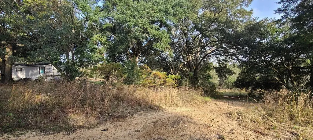 17105 SE 252nd Avenue Umatilla FL 32784
