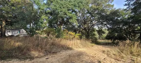 17105 SE 252nd Avenue Umatilla FL 32784