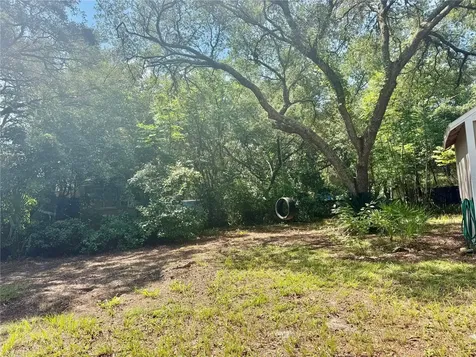 31638 Lake Drive Eustis FL 32736