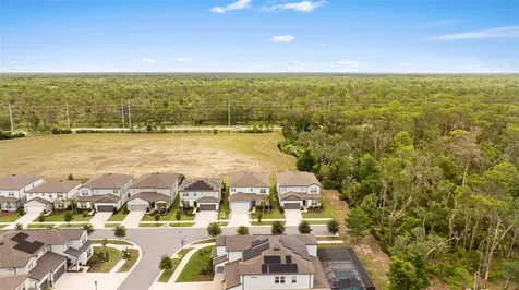 11490 Calusa Trails Way Riverview FL 33569