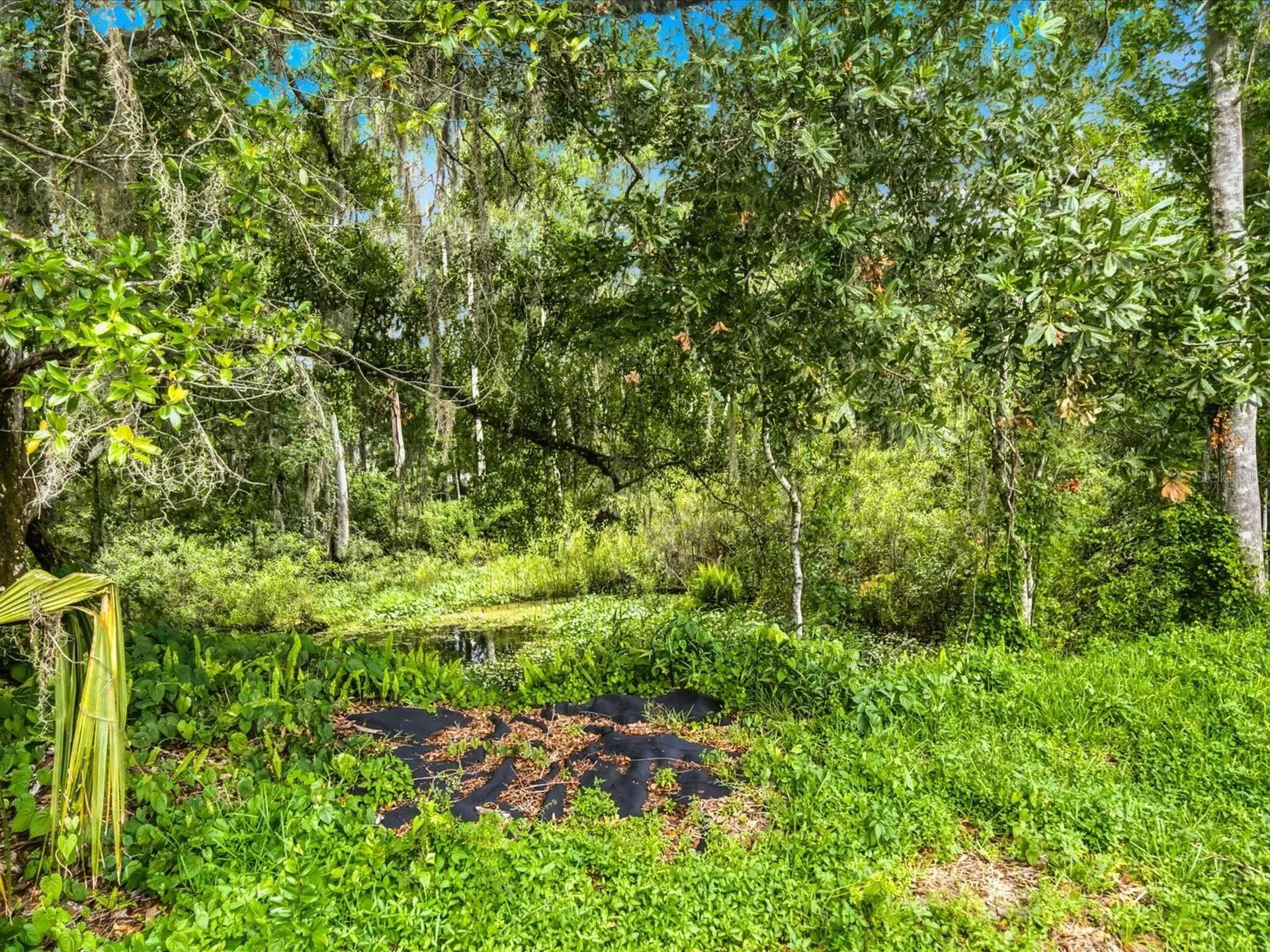 4617 Debbie Lane Lutz FL 33559