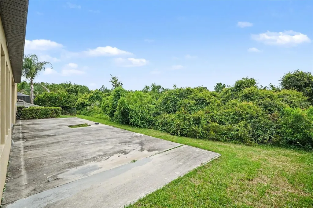 31957 Mardelle Place Wesley Chapel FL 33543