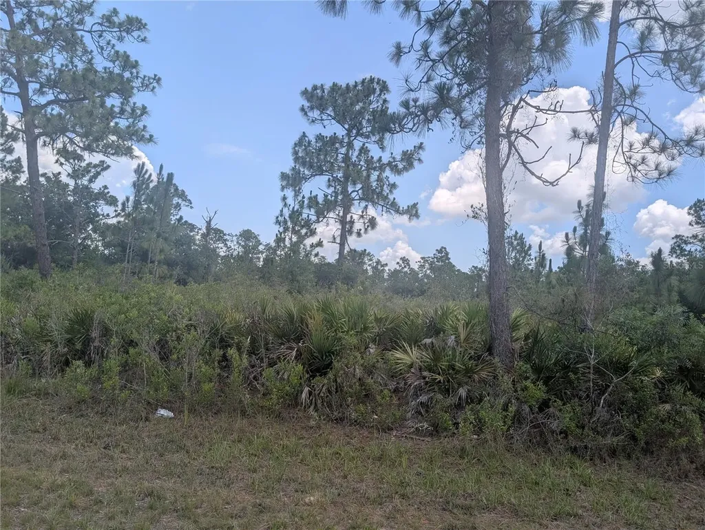 904 Laguna Drive Indian Lake Estates FL 33855