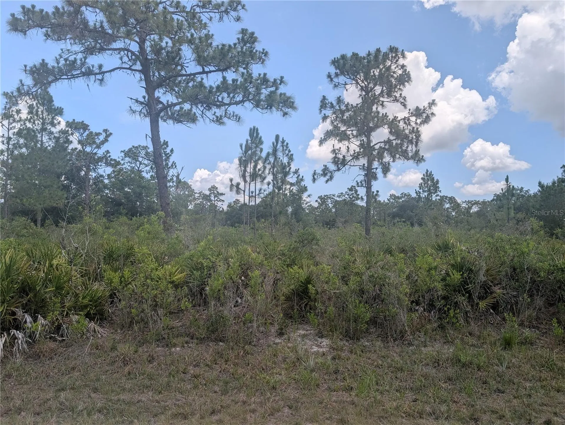 904 Laguna Drive Indian Lake Estates FL 33855
