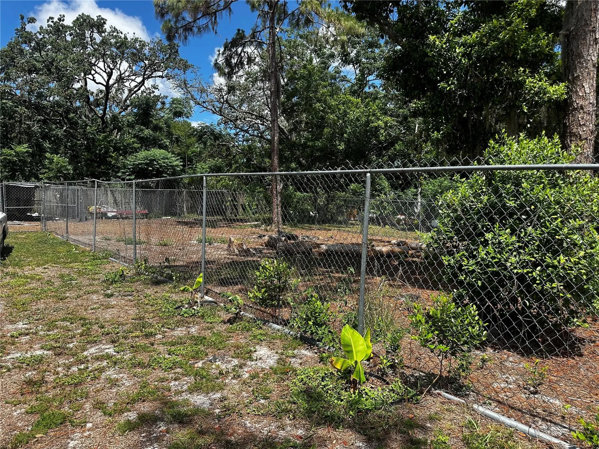 Spare Drive New Port Richey FL 34654