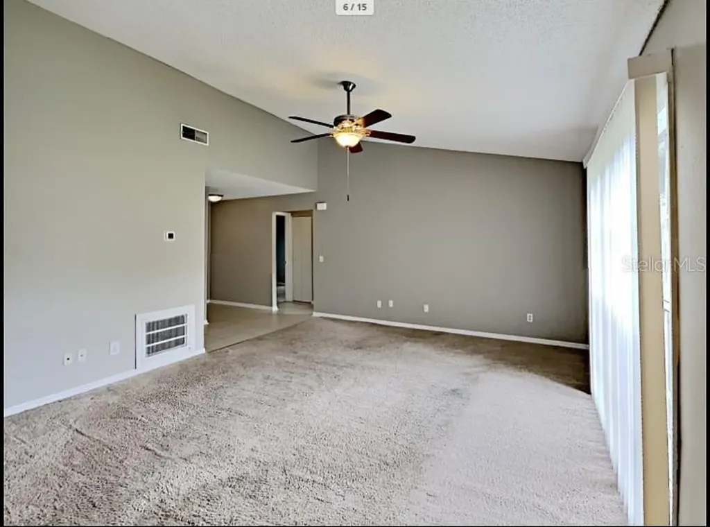 1680 Palm Leaf Drive Brandon FL 33510