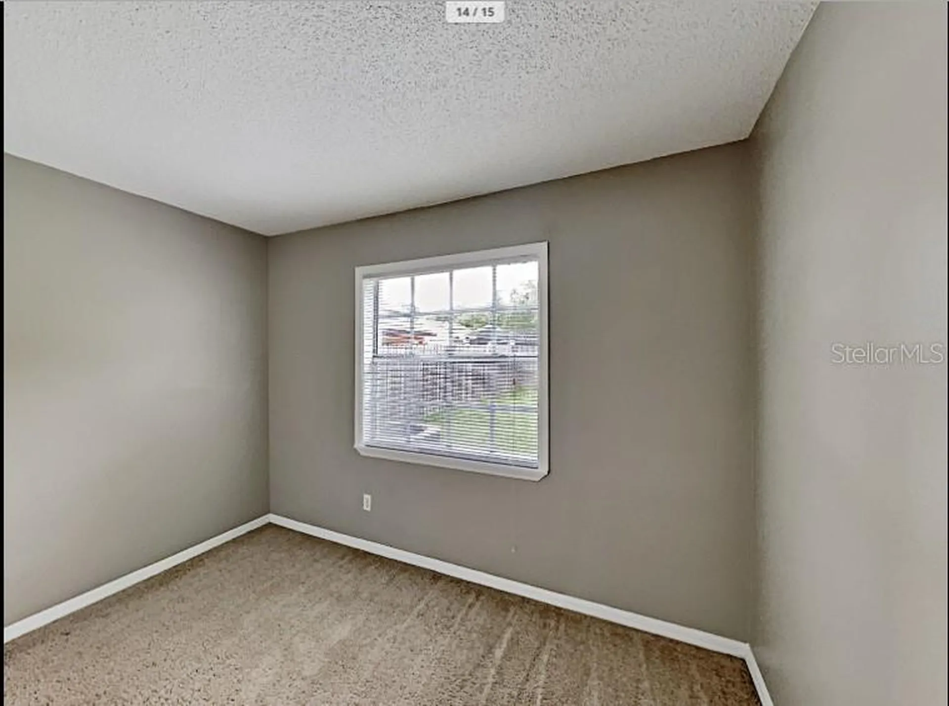 1680 Palm Leaf Drive Brandon FL 33510