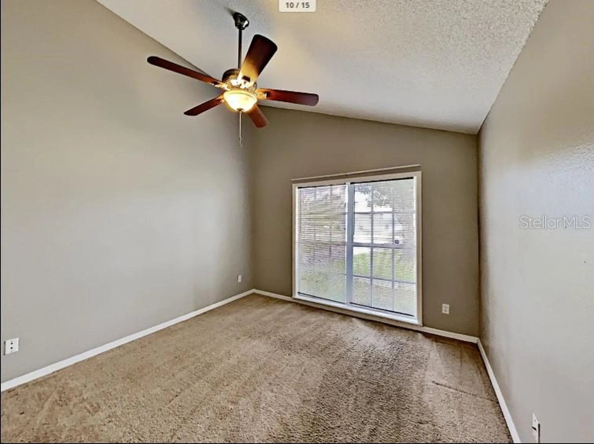 1680 Palm Leaf Drive Brandon FL 33510