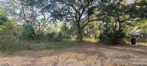 17205 SE 252nd Avenue Umatilla FL 32784