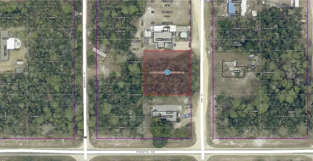 14-17-28-0200-004-04100 Oak Street Paisley FL 32767