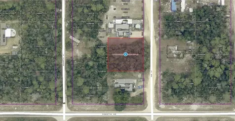 14-17-28-0200-004-04100 Oak Street Paisley FL 32767