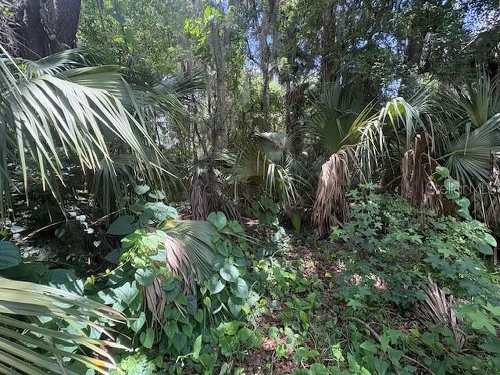 2263 Hontoon Road Deland FL 32720
