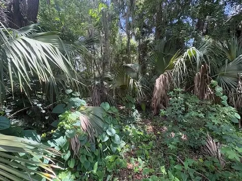2263 Hontoon Road Deland FL 32720