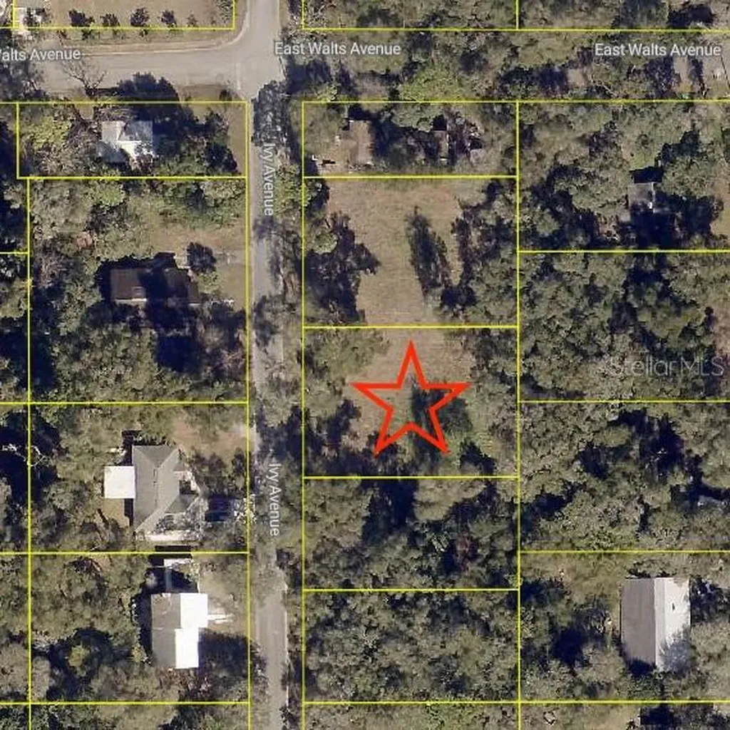 411 Ivy Avenue Deland FL 32724