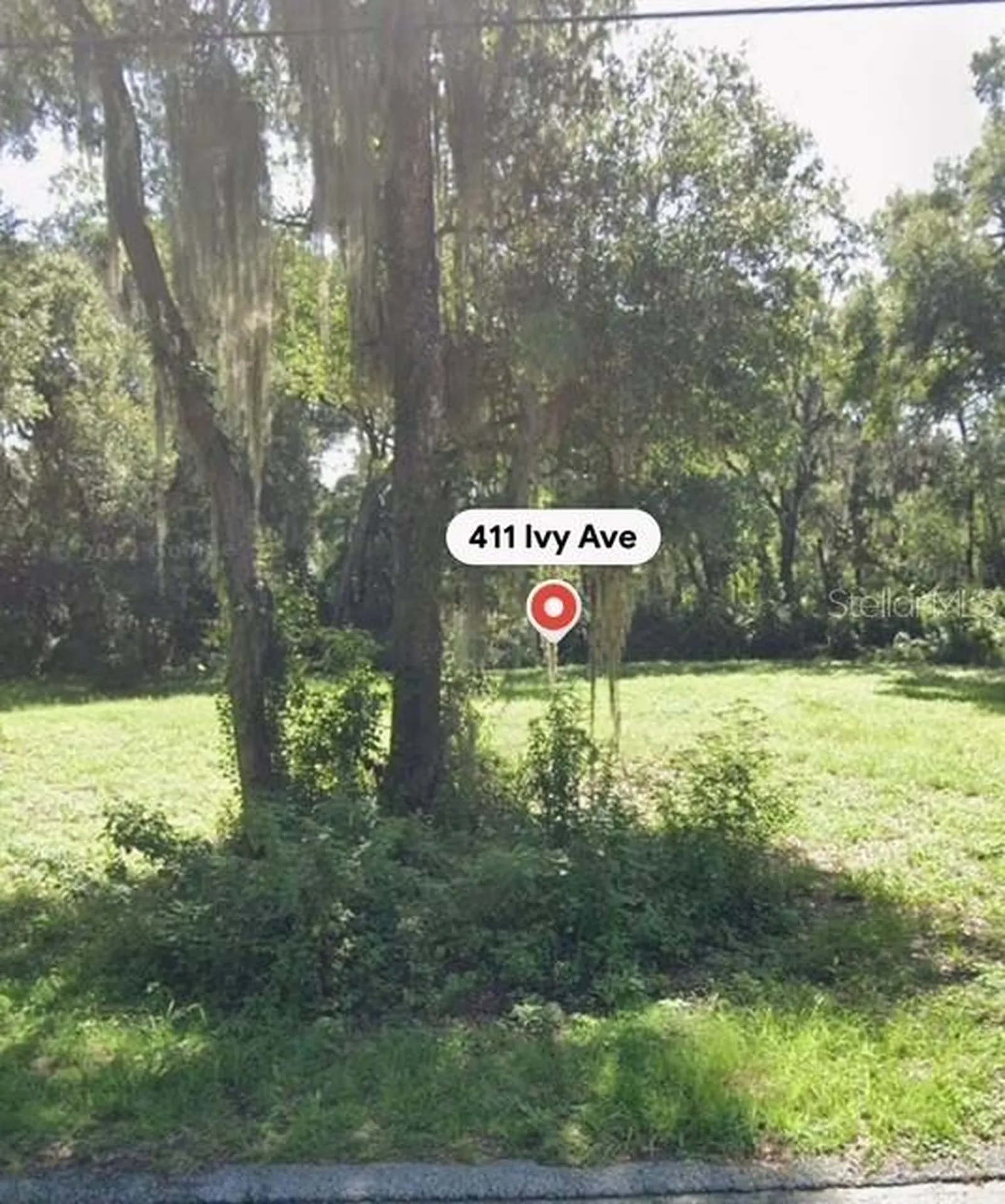 411 Ivy Avenue Deland FL 32724