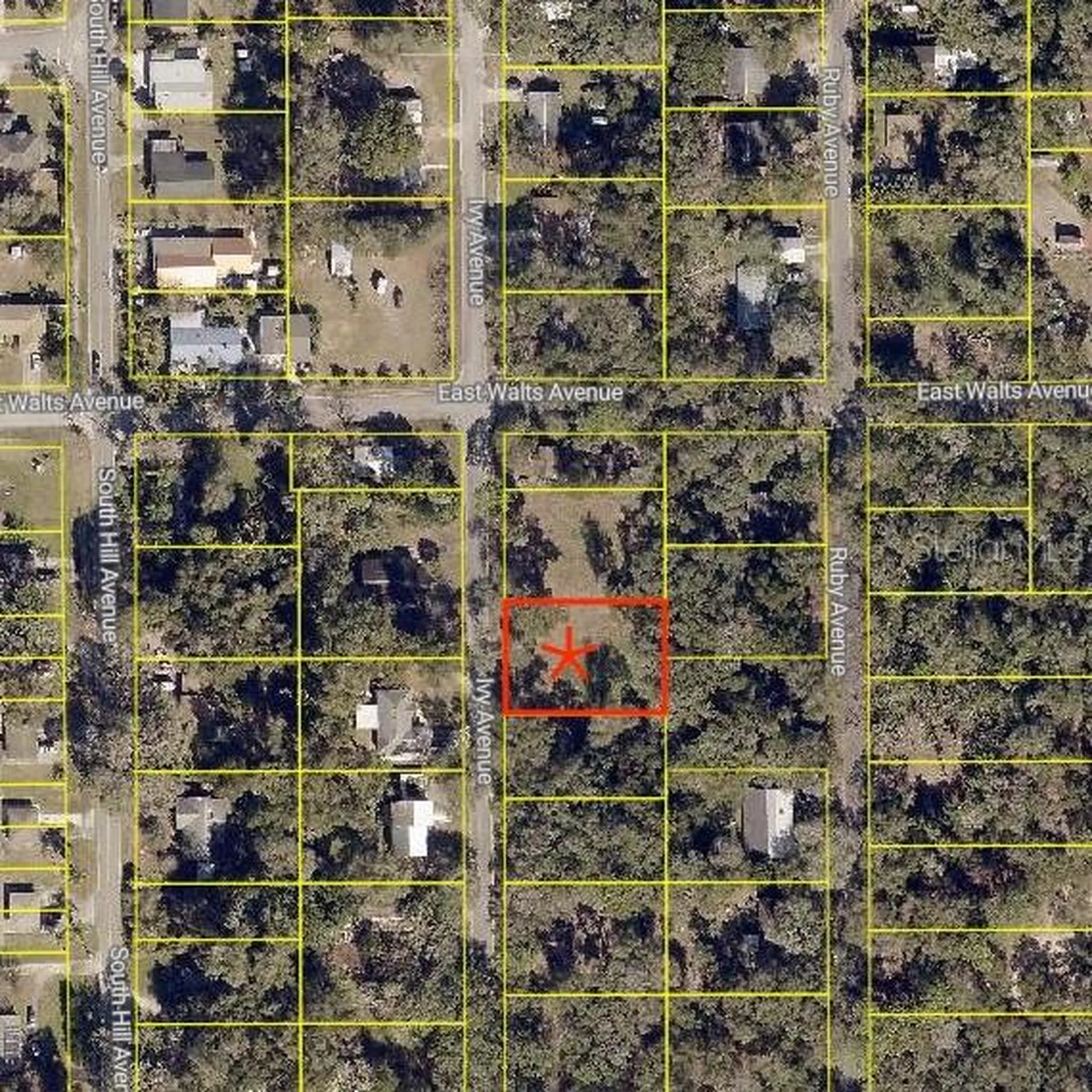411 Ivy Avenue Deland FL 32724