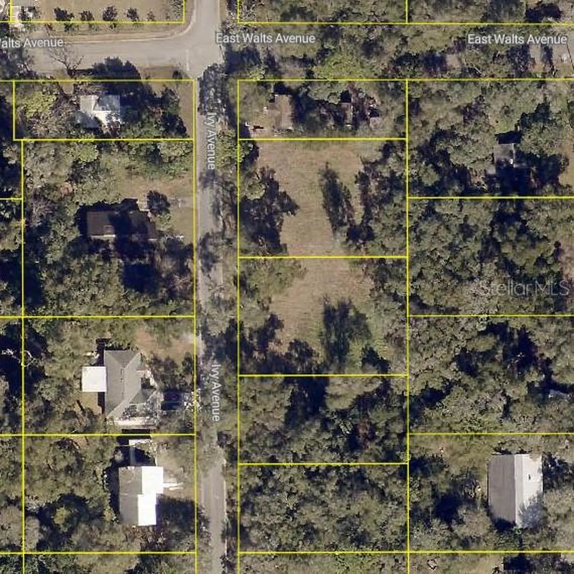 411 Ivy Avenue Deland FL 32724