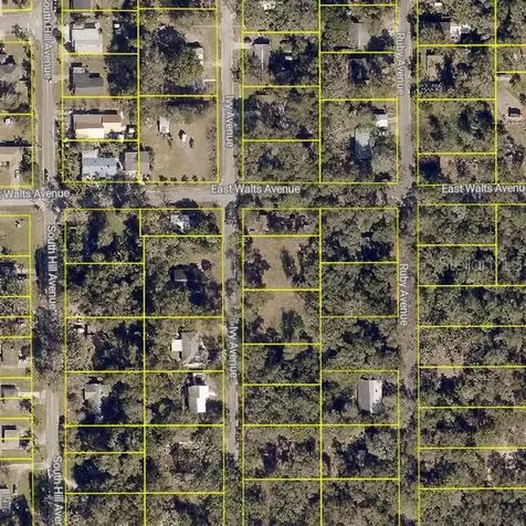 411 Ivy Avenue Deland FL 32724