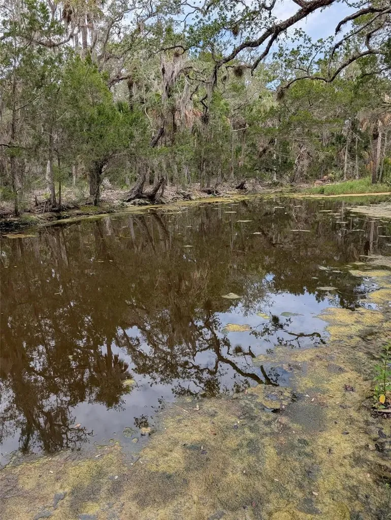 0 SE Camp B Road Gulf Hammock FL 32639