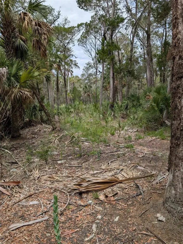 0 SE Camp B Road Gulf Hammock FL 32639